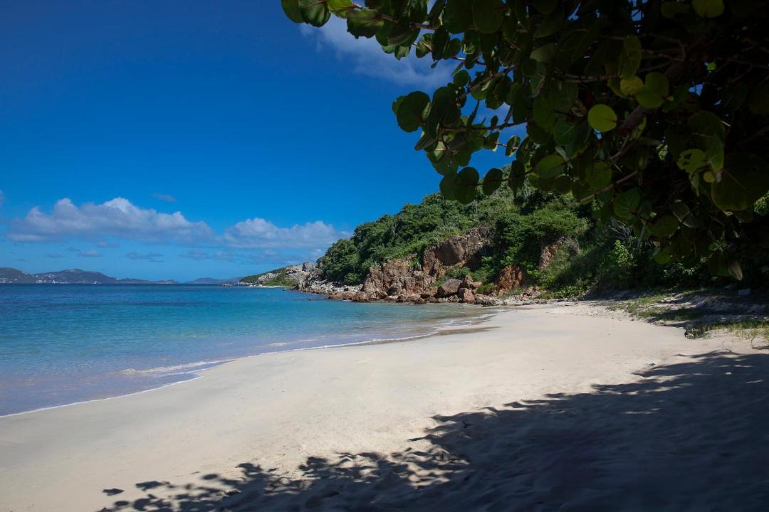 Photo of Others in Sprat Bay