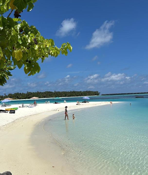 Photo of Others in Dhiffushi