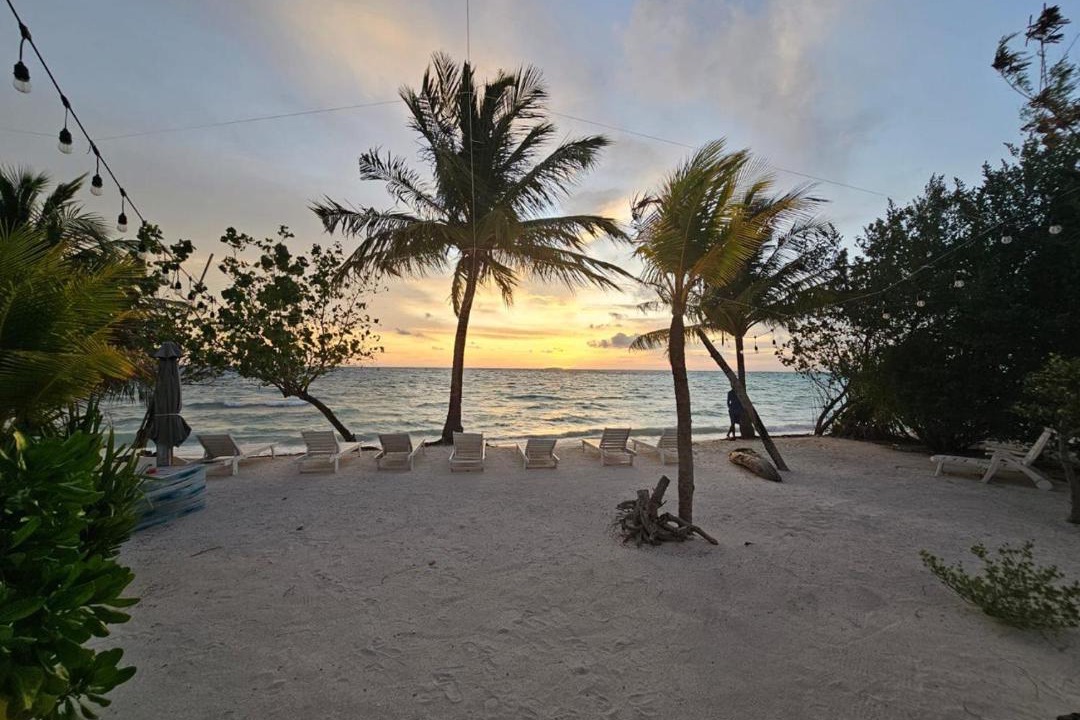 Photo of Others in Dhiffushi