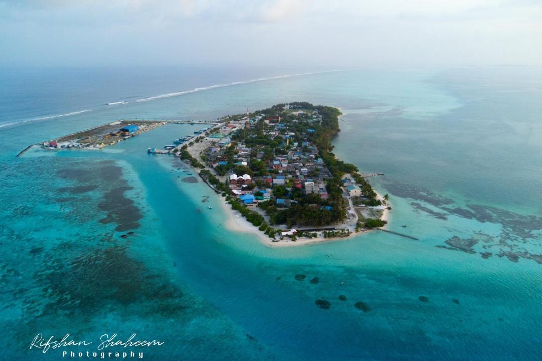 Photo of Others in Dhiffushi