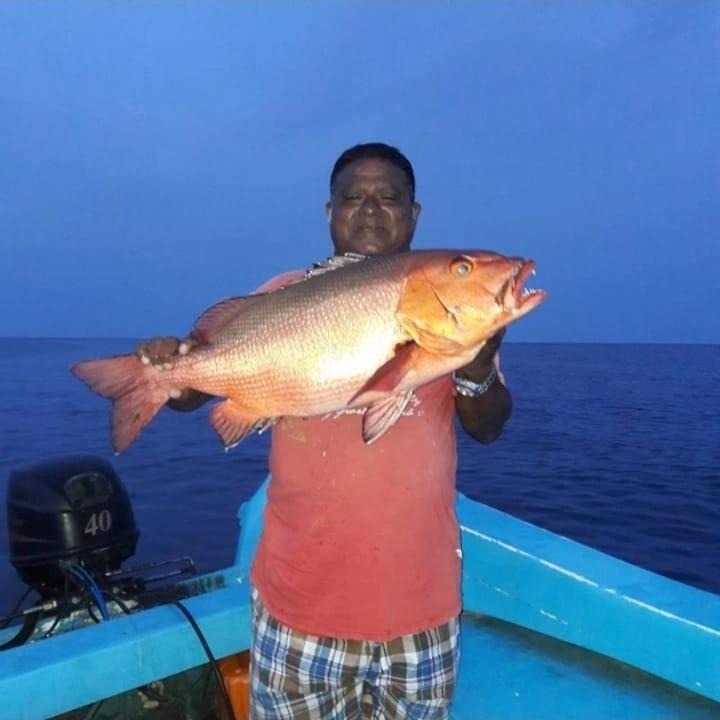 Photo of Others in Maafushi
