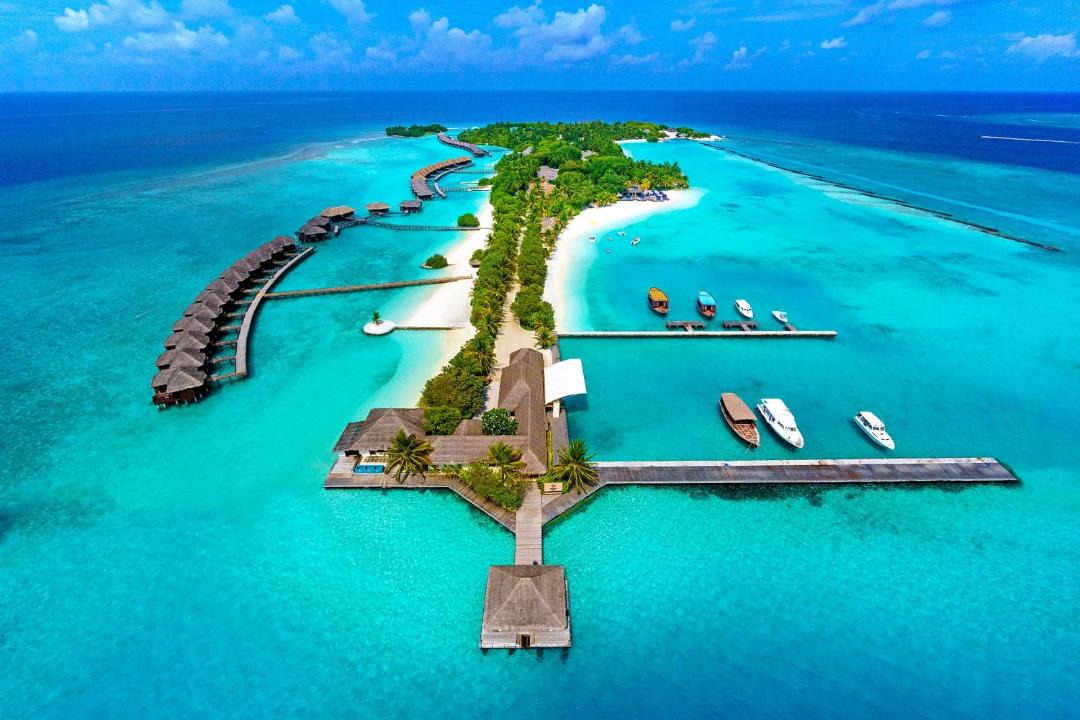 Photo of Others in Furanafushi Island