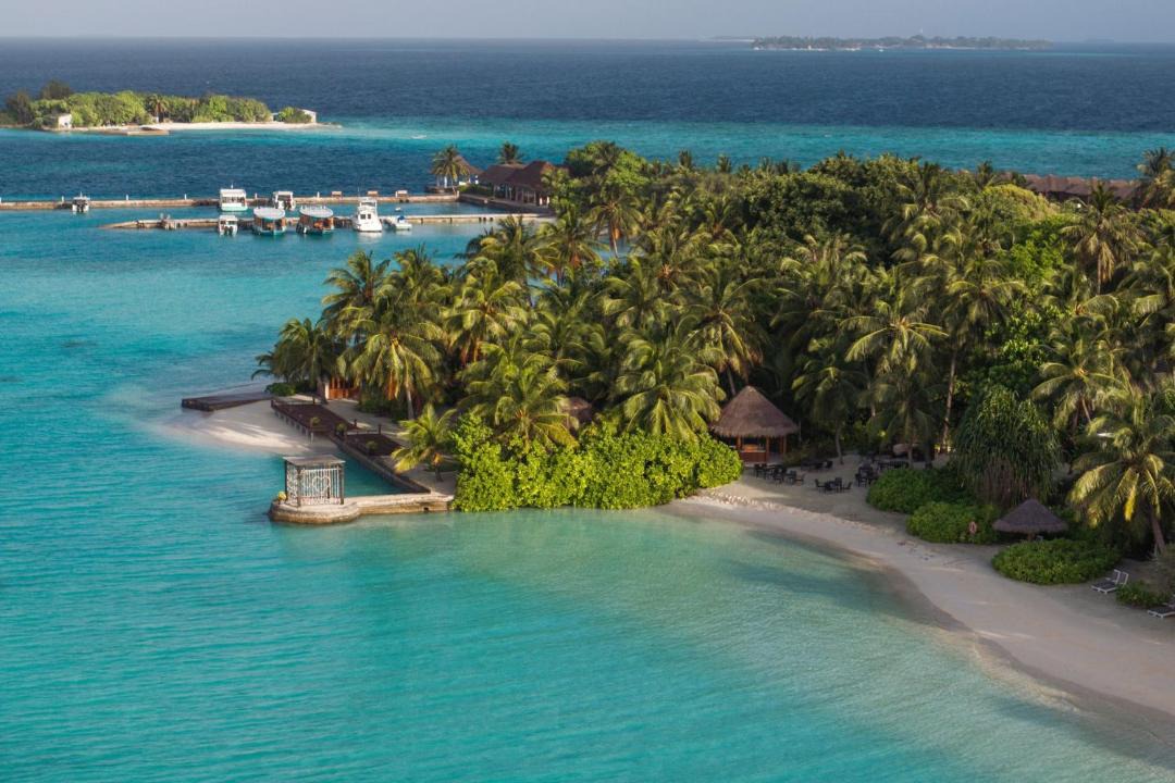 Photo of Others in Furanafushi Island
