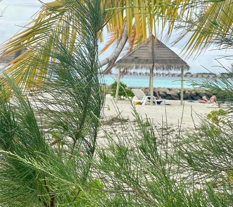 Photo of Others in Guraidhoo