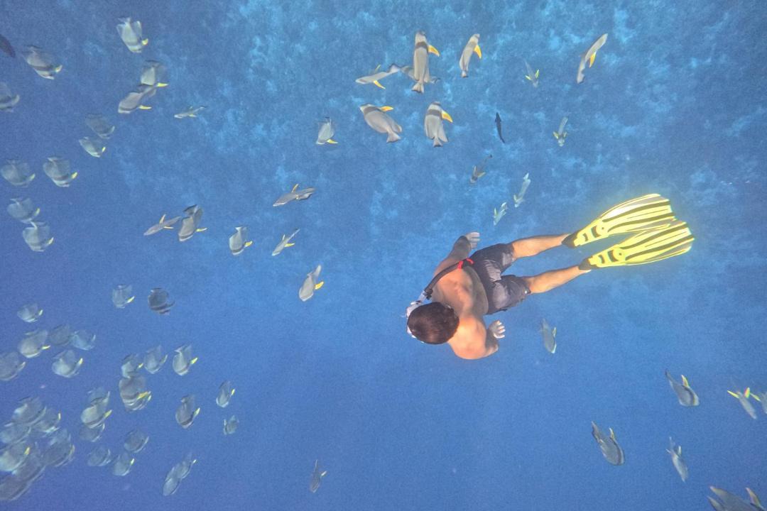 Photo of Others in Mandhoo