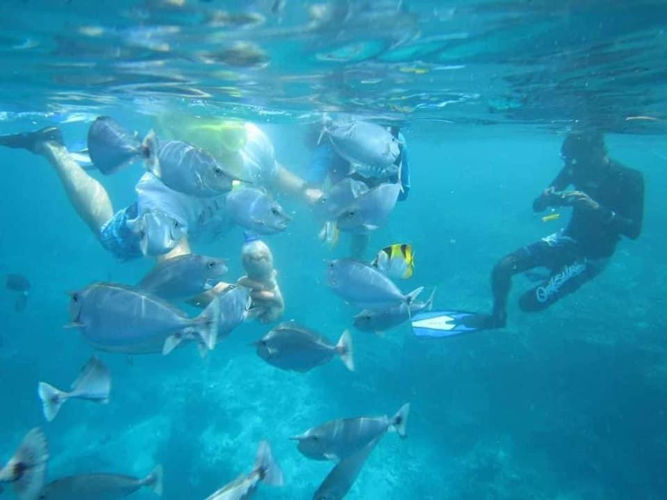 Photo of Others in Huraa