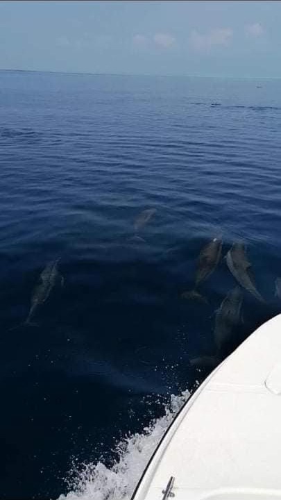 Photo of Others in Huraa