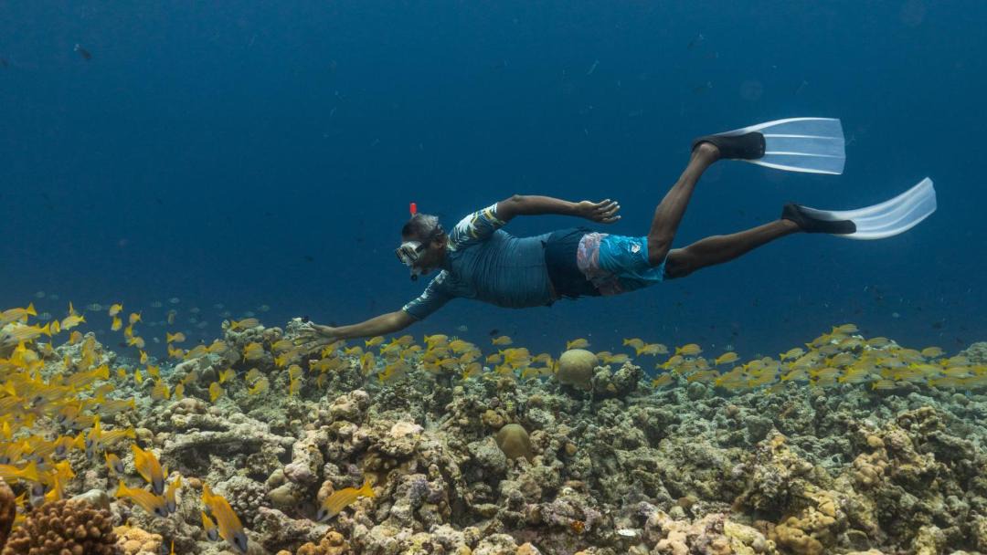 Photo of Others in Fulhadhoo
