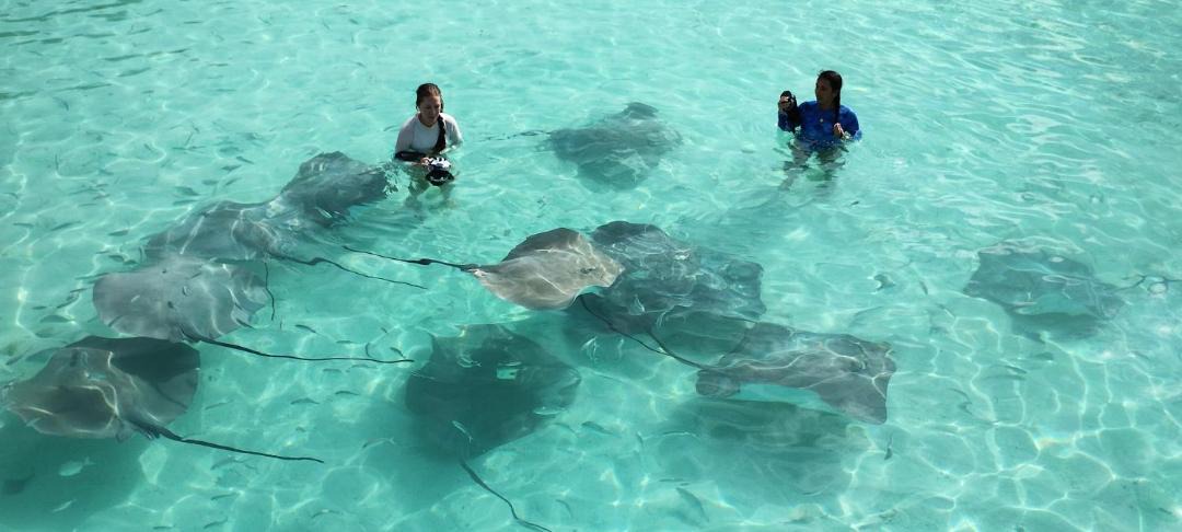 Photo of Others in Fulidhoo