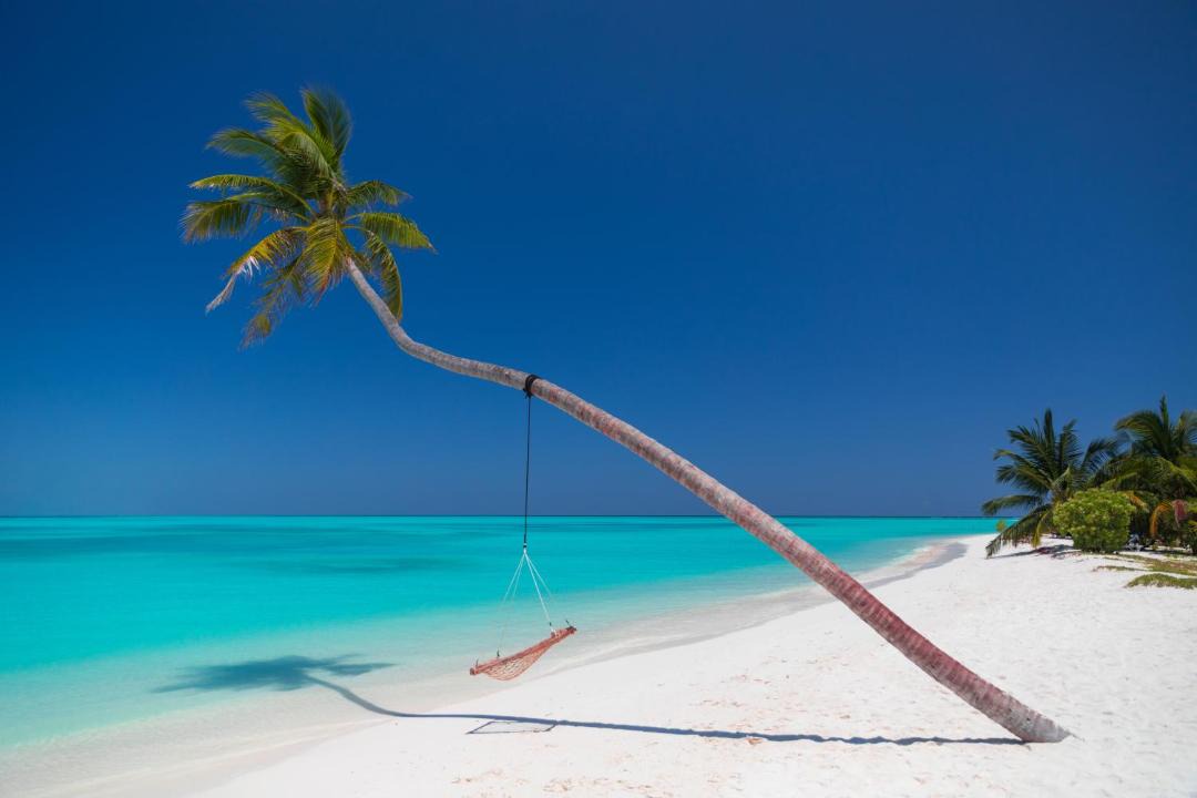 Photo of Others in Meerufenfushi