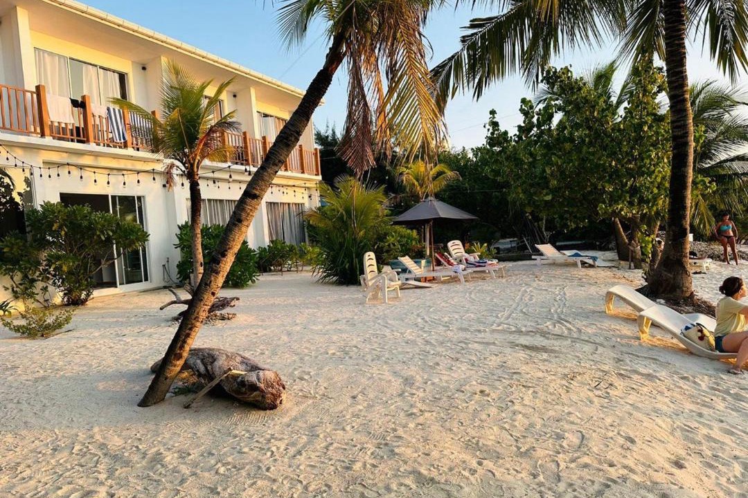 Photo of Others in Dhiffushi