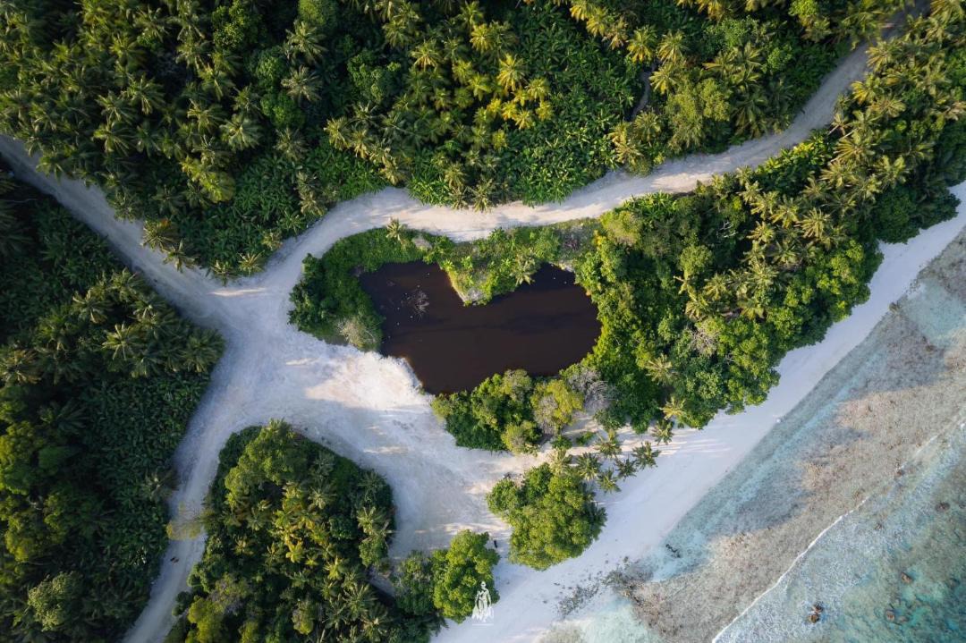 Photo of Others in Foakaidhoo