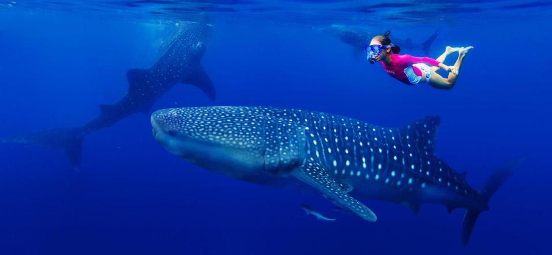 Photo of Others in Fulidhoo
