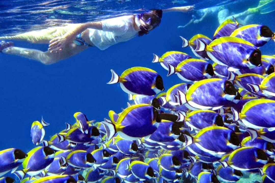 Photo of Others in Fulidhoo