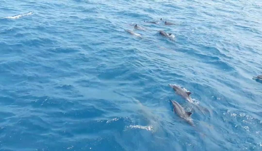 Photo of Others in Fulidhoo