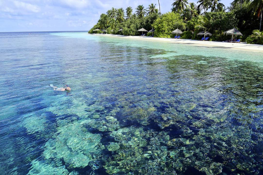 Photo of Others in Funamadua