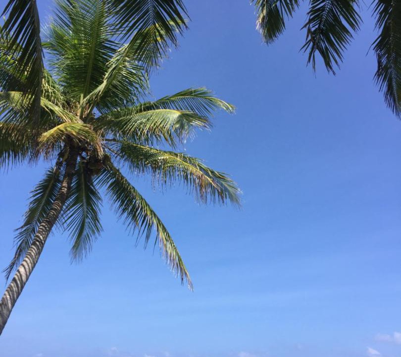 Photo of Others in Hithadhoo