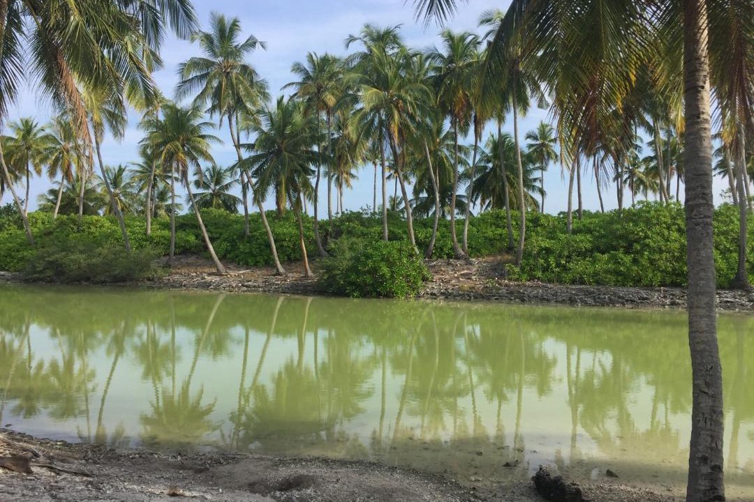 Photo of Others in Hithadhoo