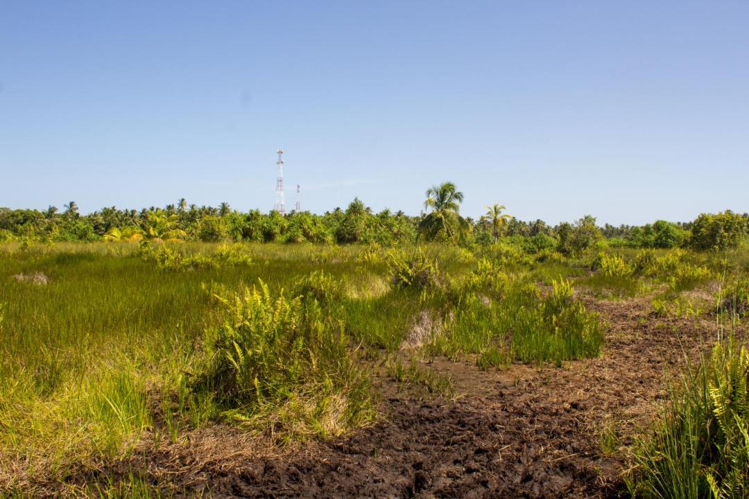 Photo of Others in Fuvahmulah
