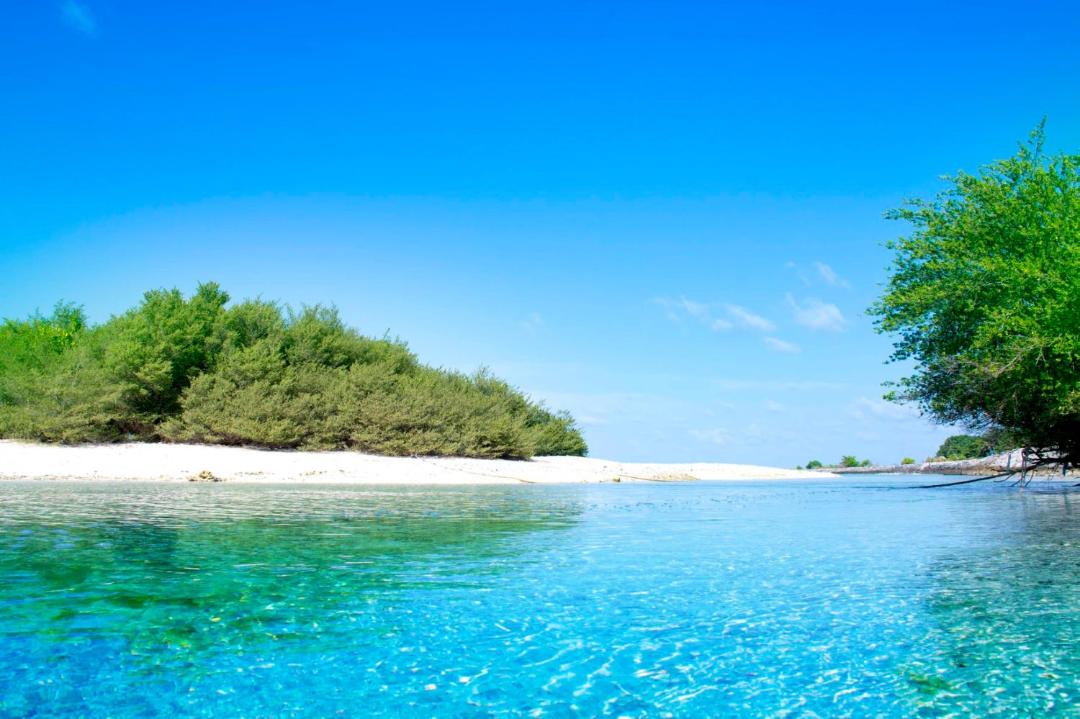 Photo of Others in Thulusdhoo Island