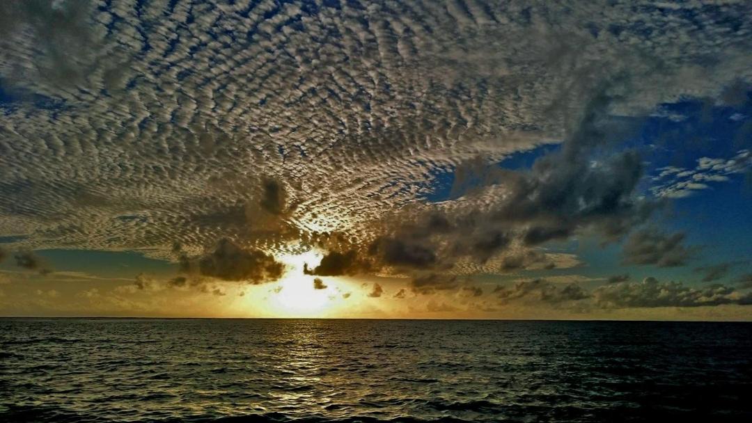 Photo of Others in Thoddoo