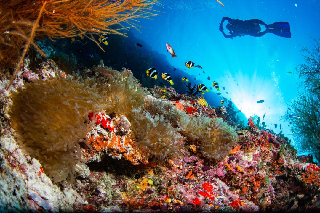 Photo of Others in Kudafunafaru