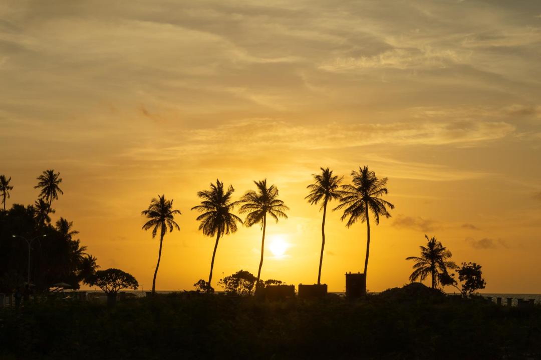 Photo of Others in Dharavandhoo