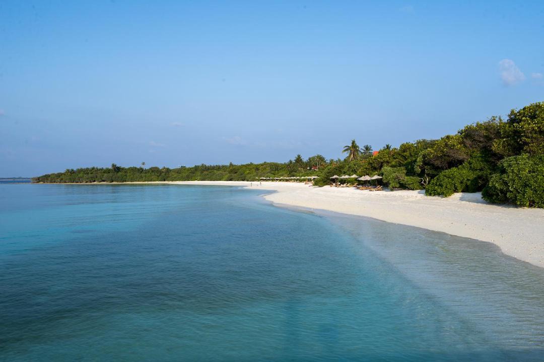 Photo of Others in Hanimaadhoo