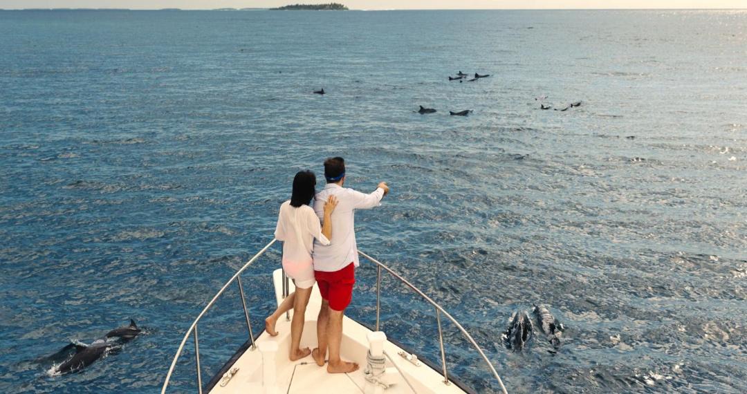 Photo of Others in Kandima Island