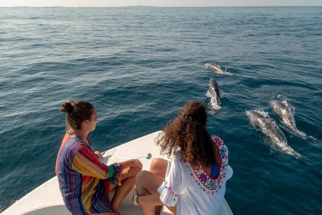 Photo of Others in Ukulhas
