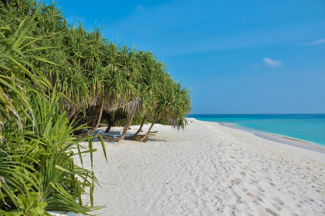 Photo of Others in Ukulhas