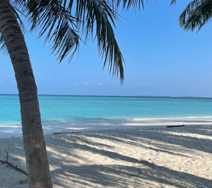 Photo of Others in Hanimaadhoo