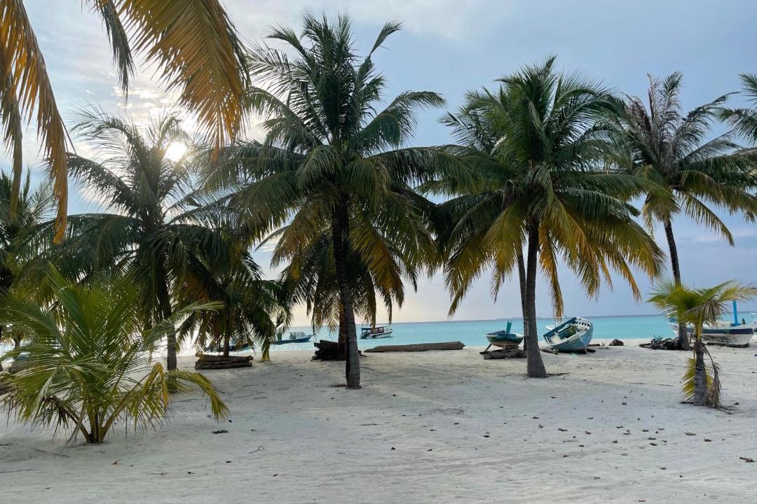 Photo of Others in Hanimaadhoo