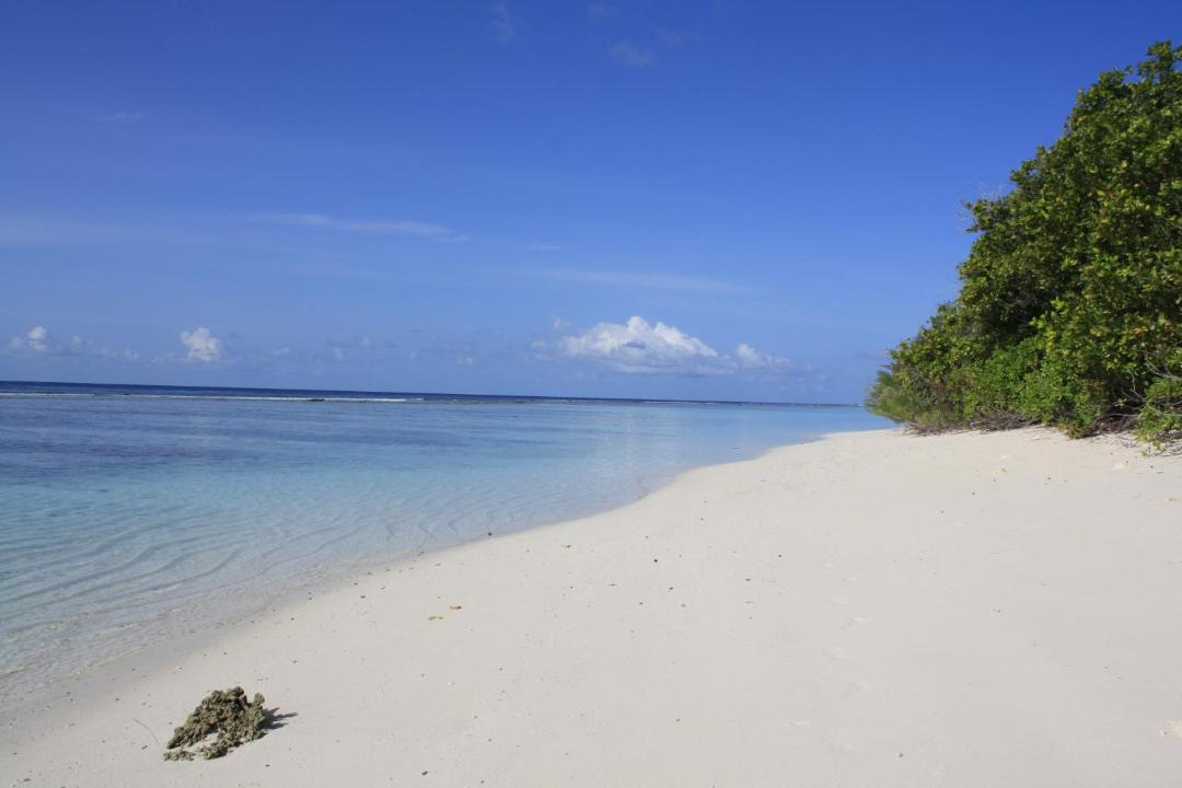 Photo of Others in Dhigurah