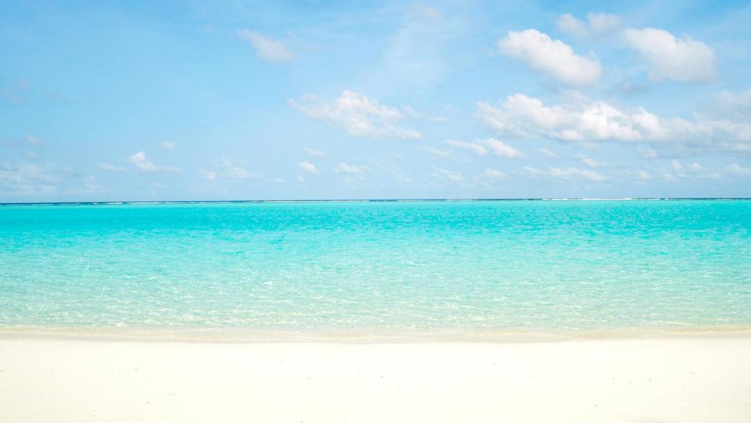 Photo of Others in Thoddoo