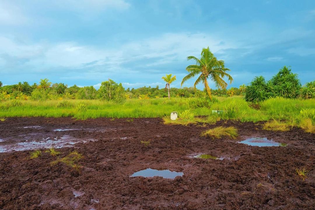 Photo of Others in Fuvahmulah