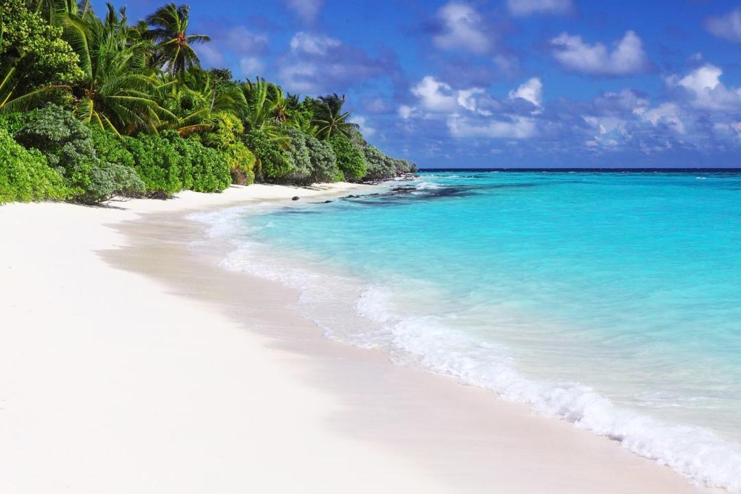 Photo of Others in Thoddoo