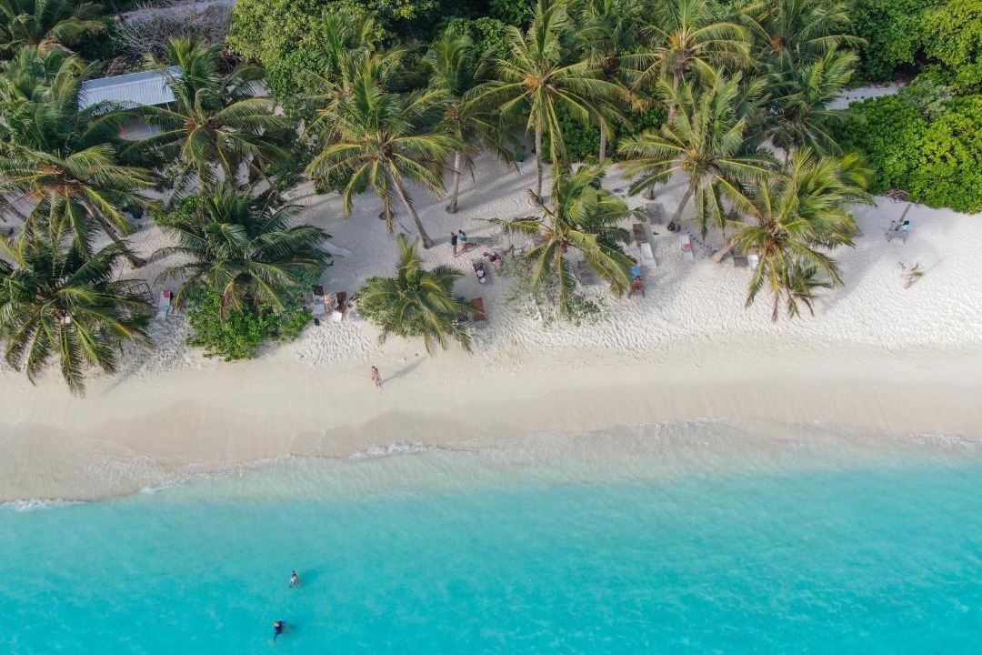 Photo of Others in Thoddoo