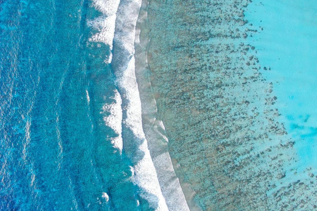 Photo of Others in Thoddoo