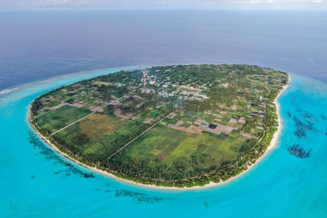 Photo of Others in Thoddoo