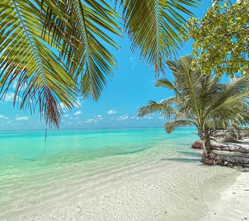 Photo of Outdoor in Kaashidhoo