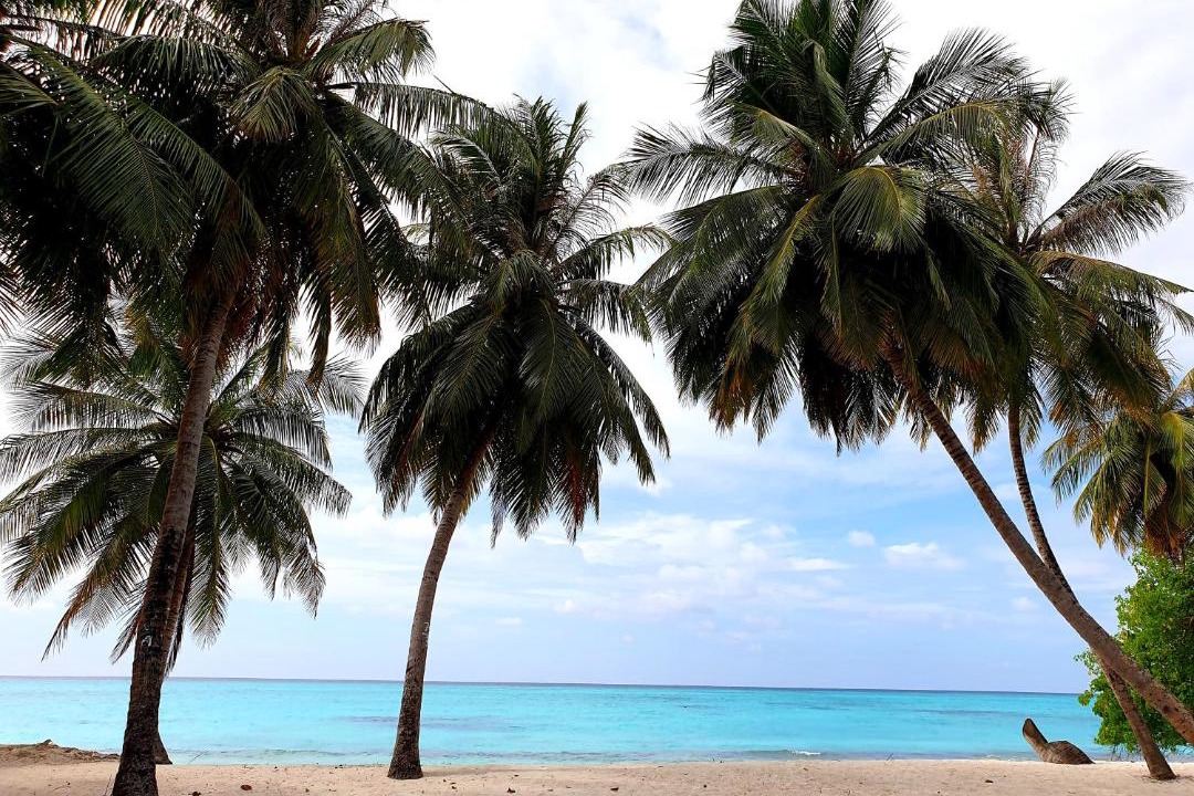 Photo of Others in Fulhadhoo