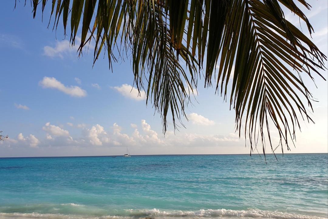 Photo of Others in Fulhadhoo