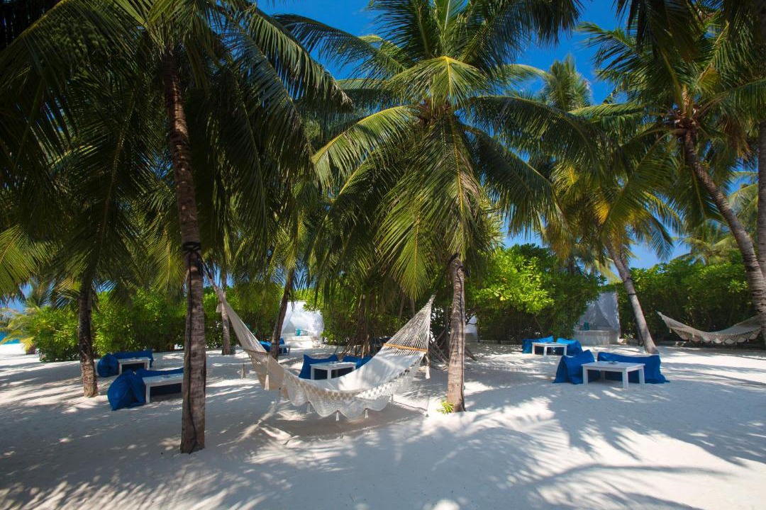 Photo of Others in Velassaru