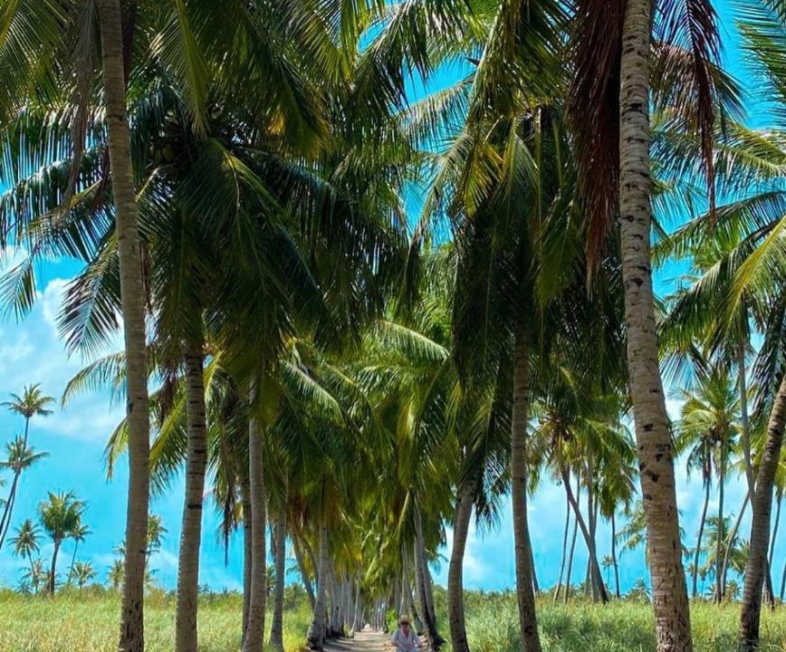 Photo of Others in Thoddoo