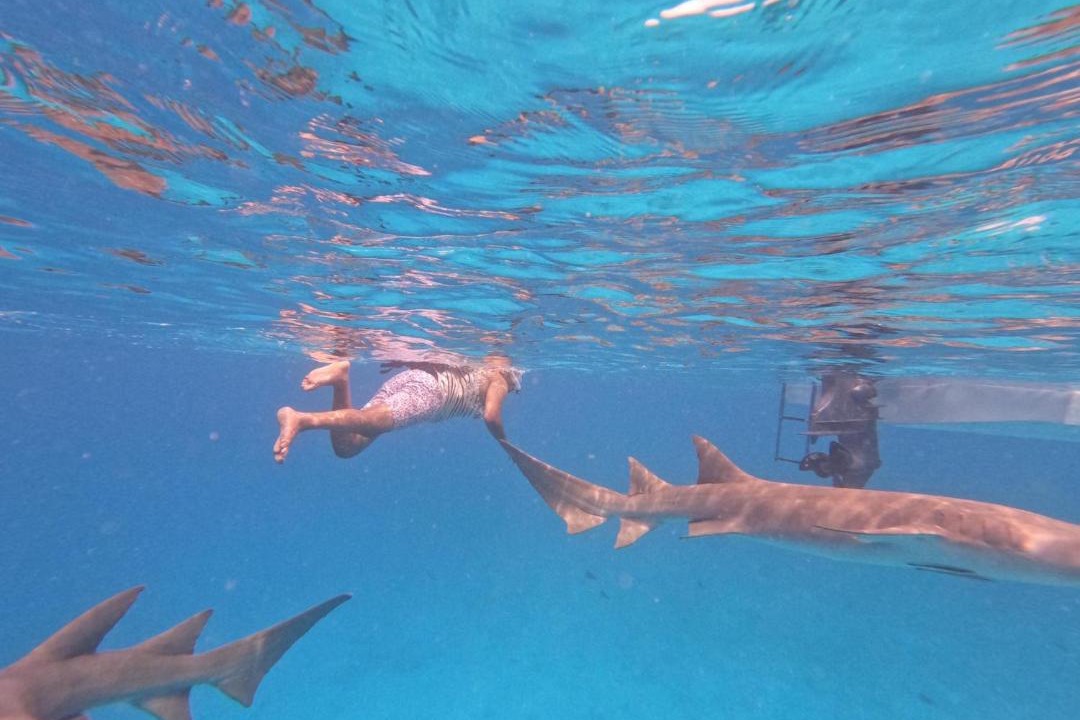Photo of Others in Fulidhoo