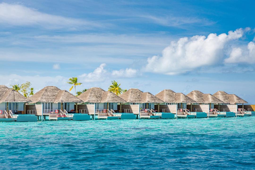 Photo of Others in Rinbudhoo