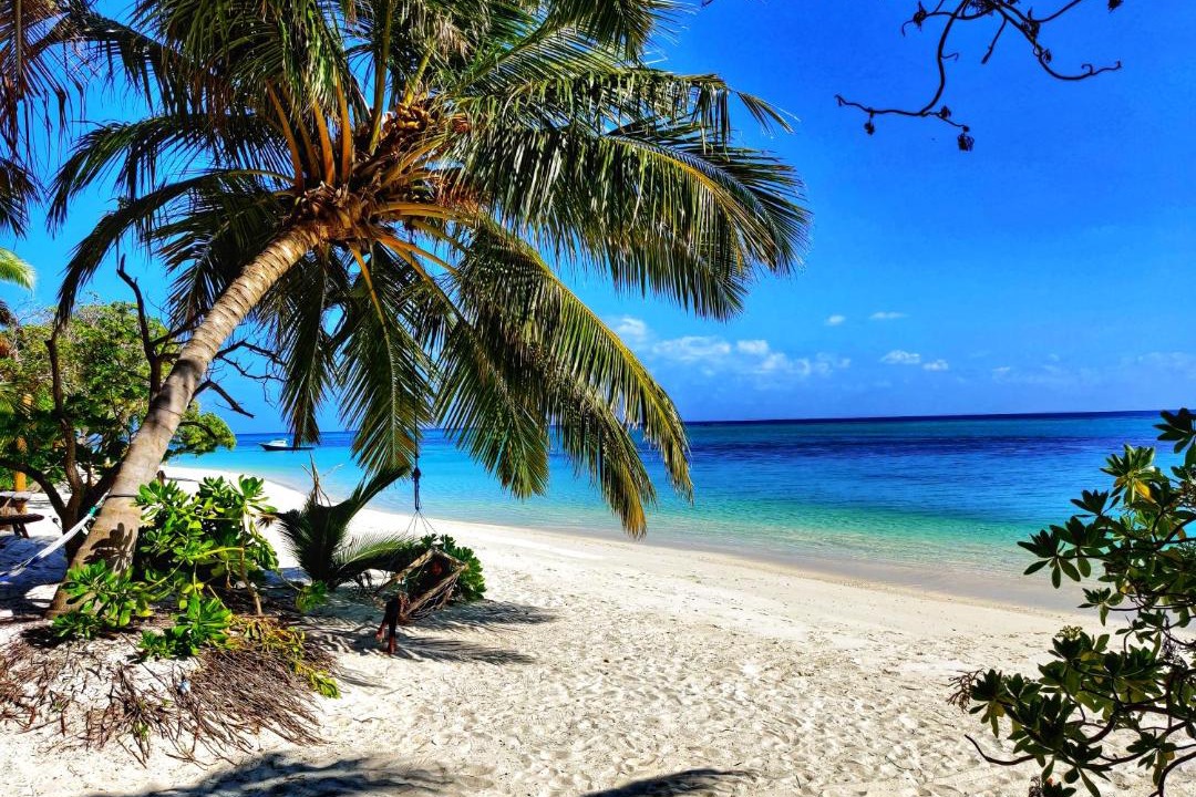 Photo of Others in Thoddoo