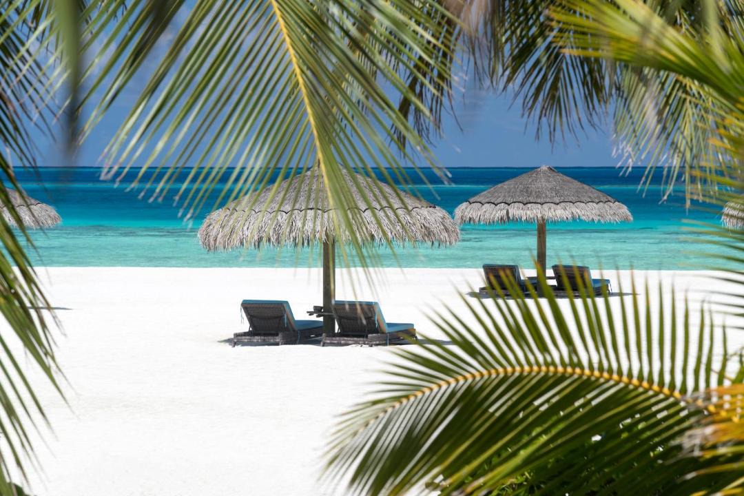 Photo of Others in Moofushi Island