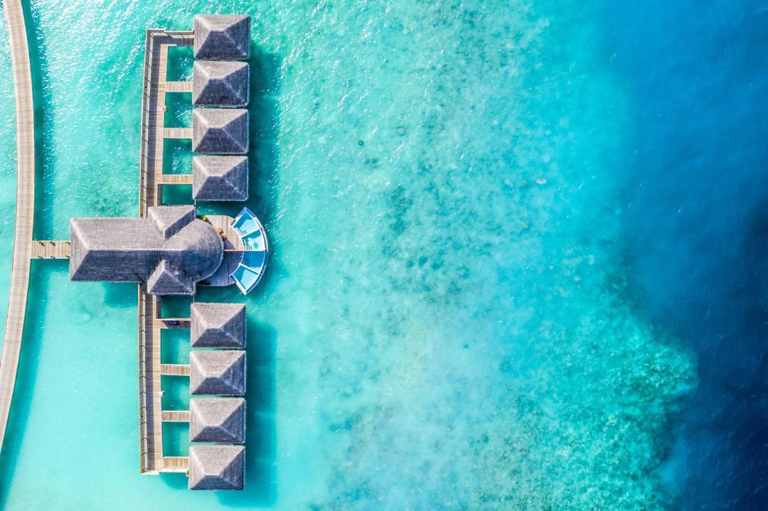 Photo of Others in Rinbudhoo